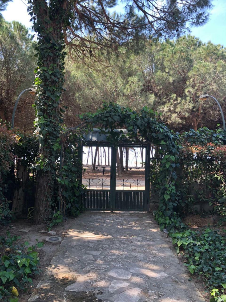 Pine-Tree Apt W/ Private Garden 50 M From The Sea Golem  Exterior foto