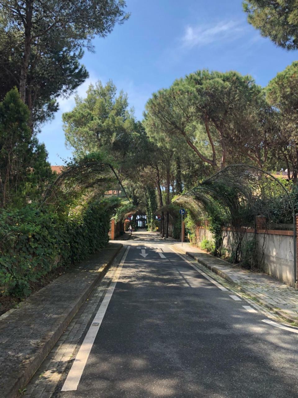 Pine-Tree Apt W/ Private Garden 50 M From The Sea Golem  Exterior foto